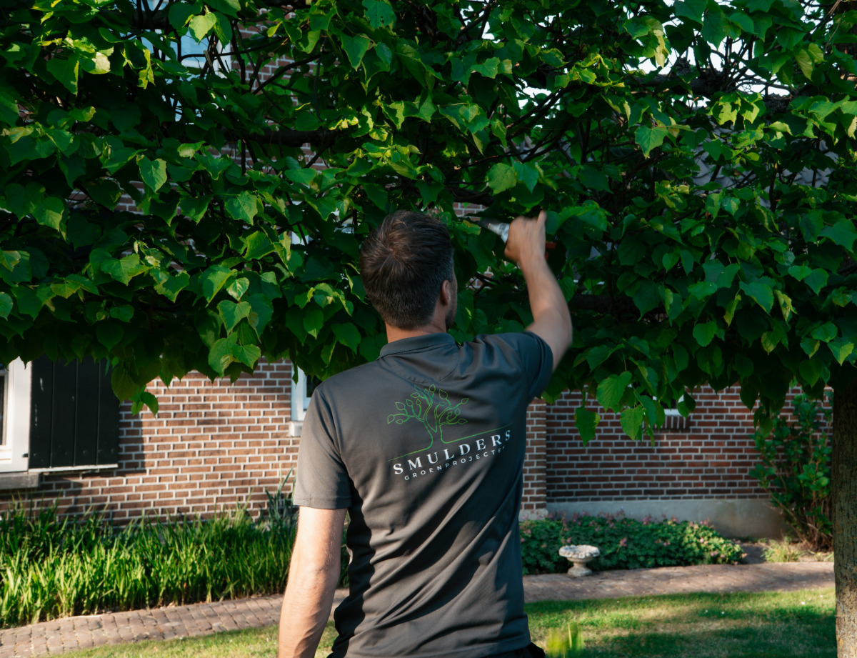 Smulders groenprojecten, snoeien